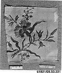 Fragment — Unknown