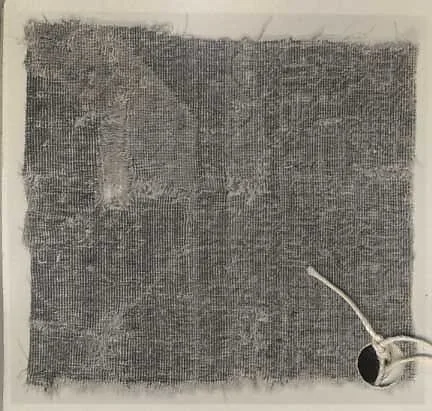 Carpet Fragment