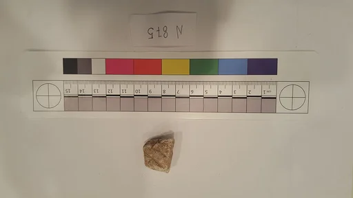 Stucco Fragment