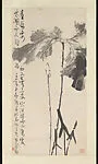 近代 李苦禪 荷花 軸|Lotus — Li Kuchan