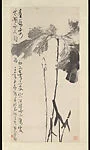 近代 李苦禪 荷花 軸|Lotus