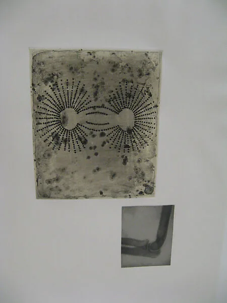 Fourteen Etchings 9, from the ¦Fourteen Etchings¦ portfolio — Terry Winters|Hitoshi Kido|Keith Brintzenhofe|Universal Limited Art Editions, Inc.|John Lund