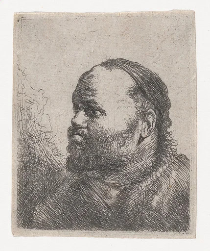 Bust of Man With Thick Lips