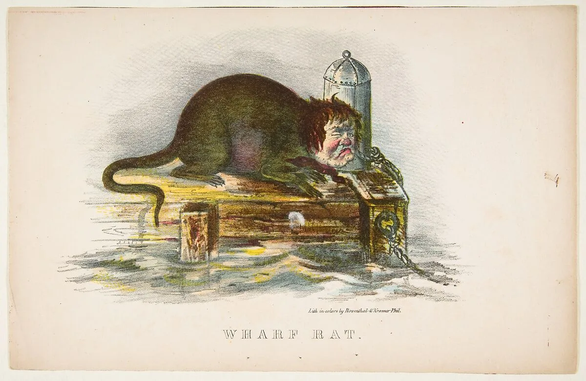Wharf Rat, from The Comic Natural History of the Human Race — Henry Louis Stephens|Rosenthal|Samuel Robinson
