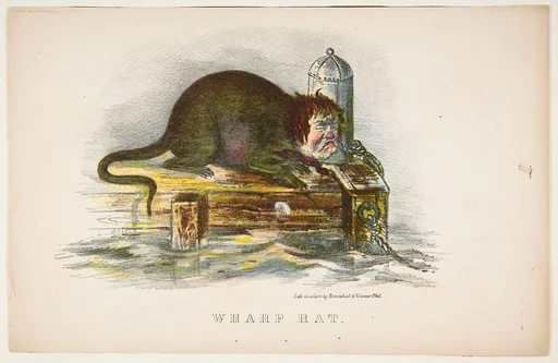 Wharf Rat, from The Comic Natural History of the Human Race