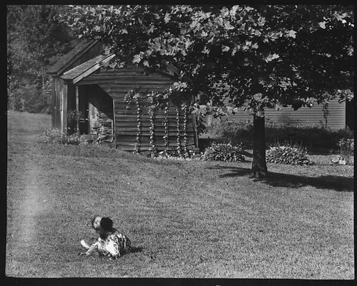 [Dog in Front of Wooden Building on Grounds of Estate of Suzette Morton Hamill, Lake Forest, Illinois]