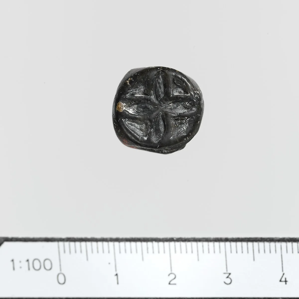 Seal — Unknown