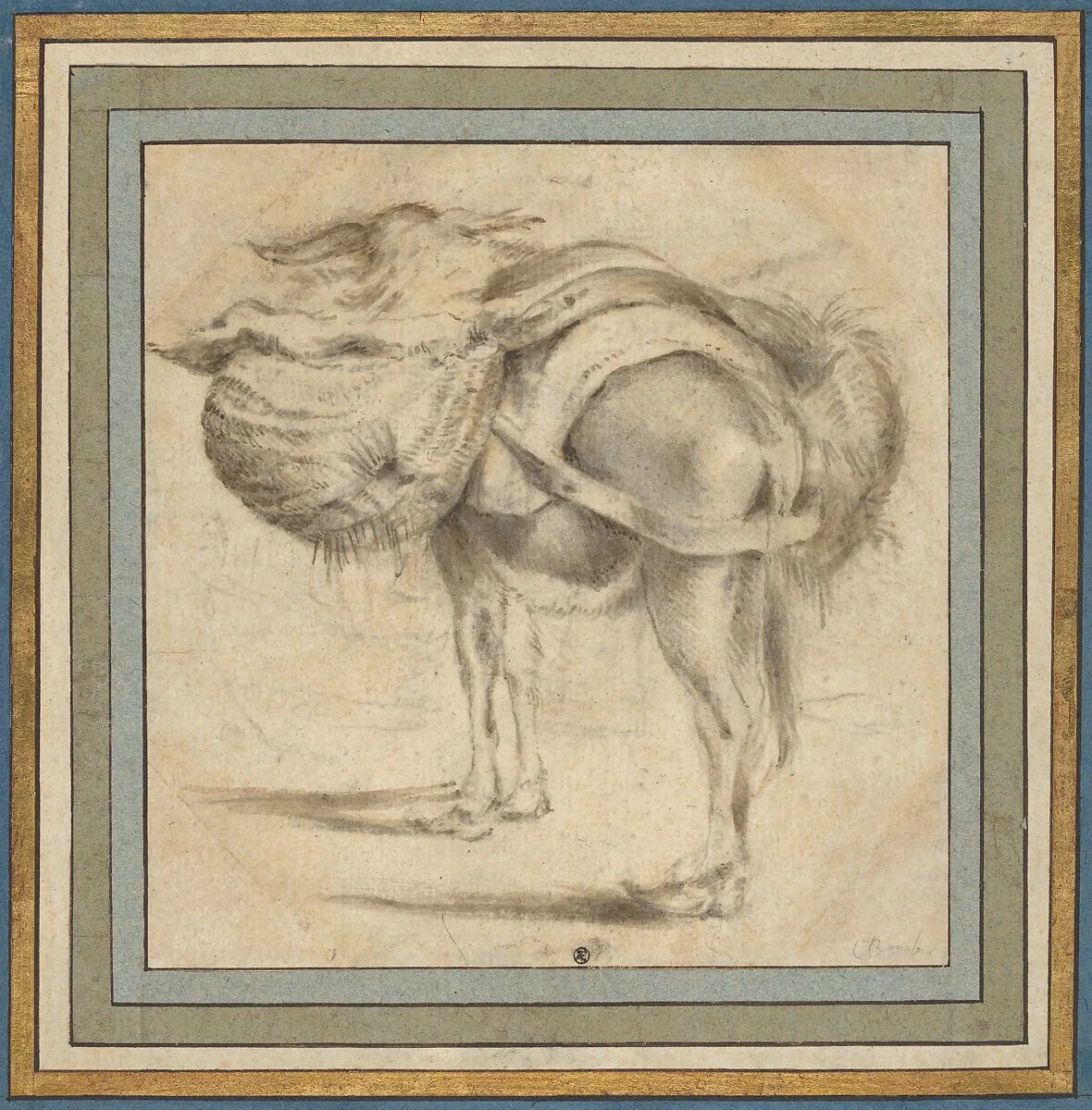 Study of a Donkey — Pieter Jacobsz. van Laer