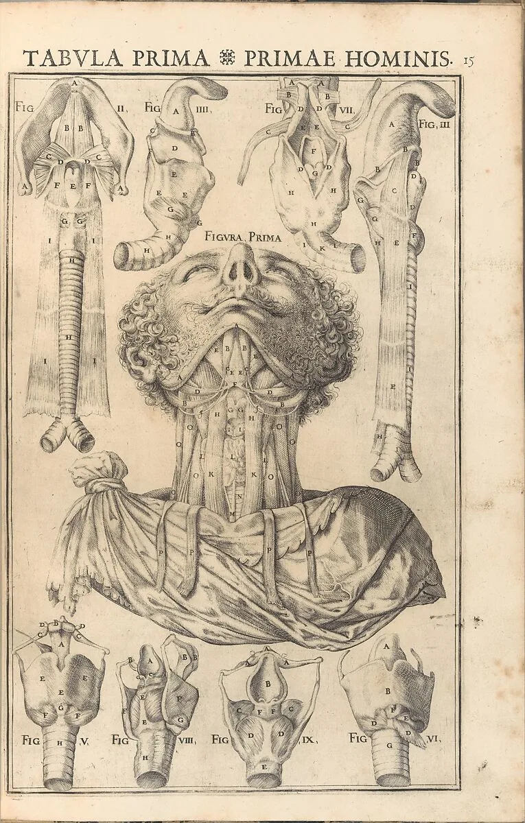 De Vocis Auditusque — Giulio Casserio (Casserius)