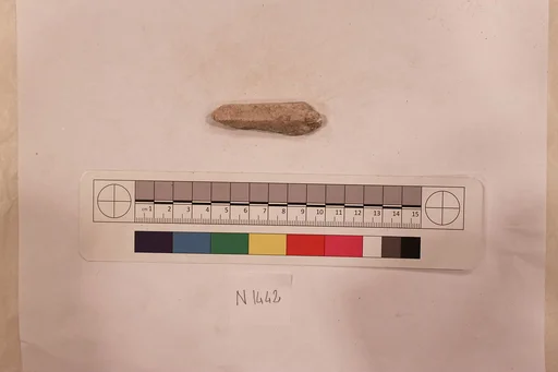 Stucco Fragment