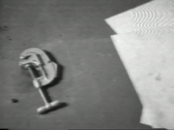 Clamp Cut — William Wegman