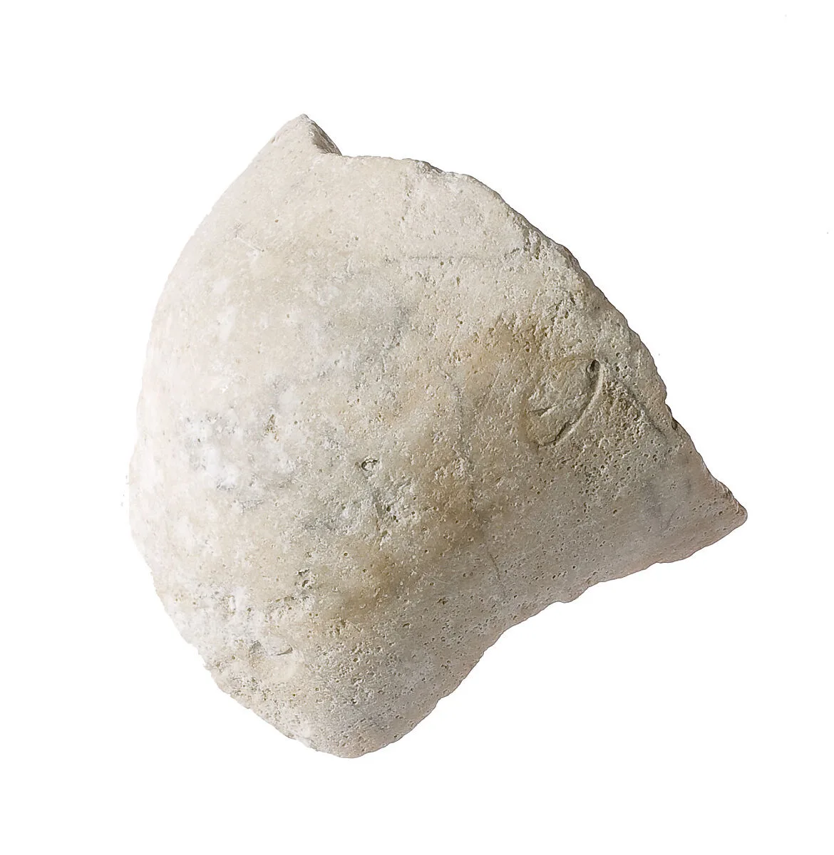 Elbow (?) — Unknown