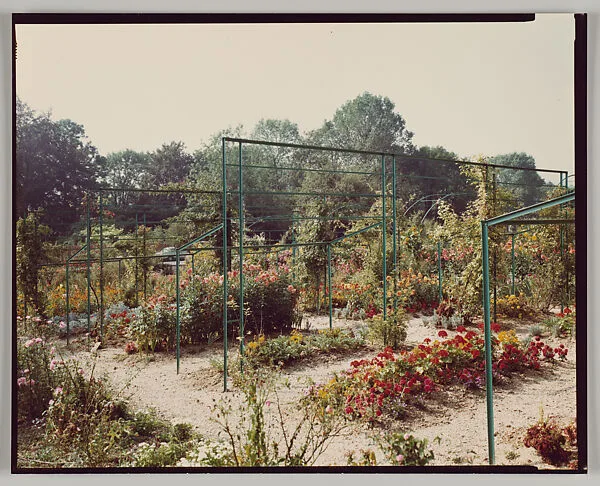 Giverny — Stephen Shore