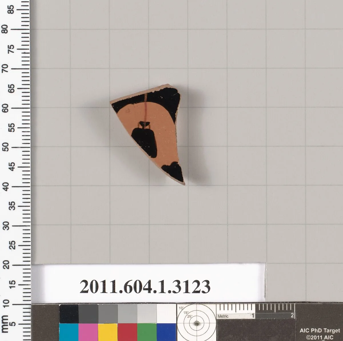 Terracotta fragment of a kylix (drinking cup) — Unknown