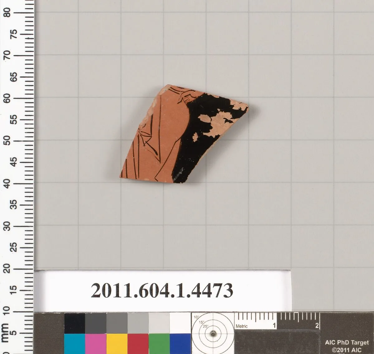 Terracotta fragment of a kylix (drinking cup) — Unknown