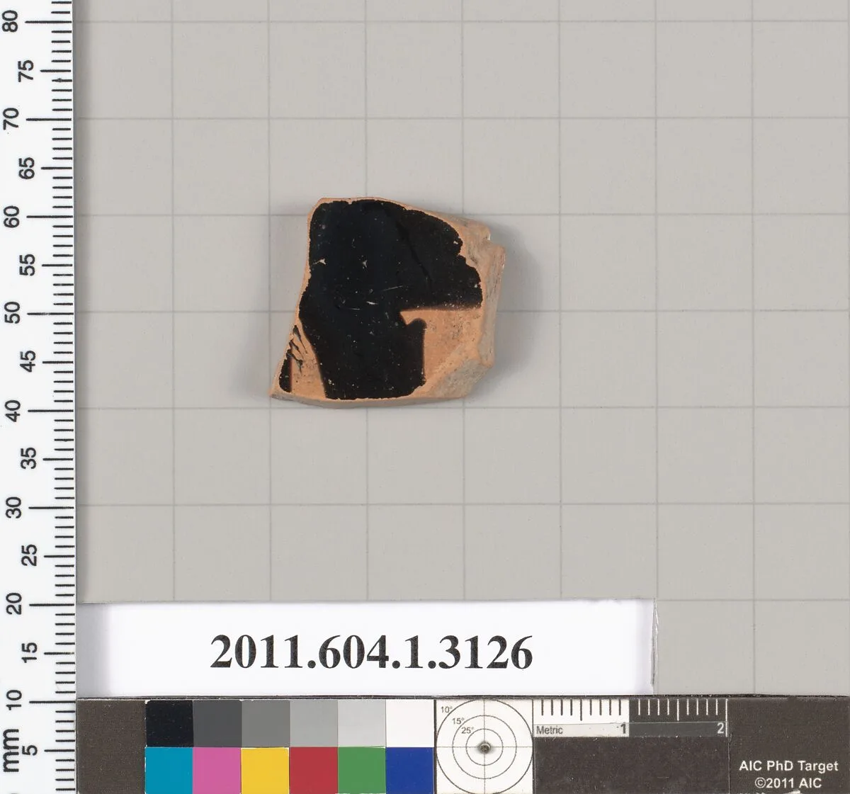 Terracotta fragment of a kylix (drinking cup) — Unknown