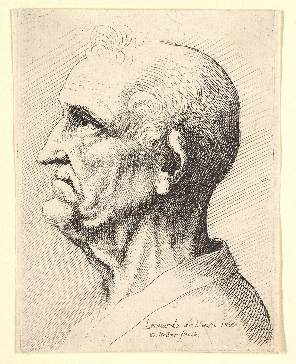 Head of an old man with tufts of curly hair around ear in profile to left — Leonardo da Vinci|Wenceslaus Hollar