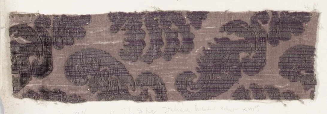 Fragment — Unknown