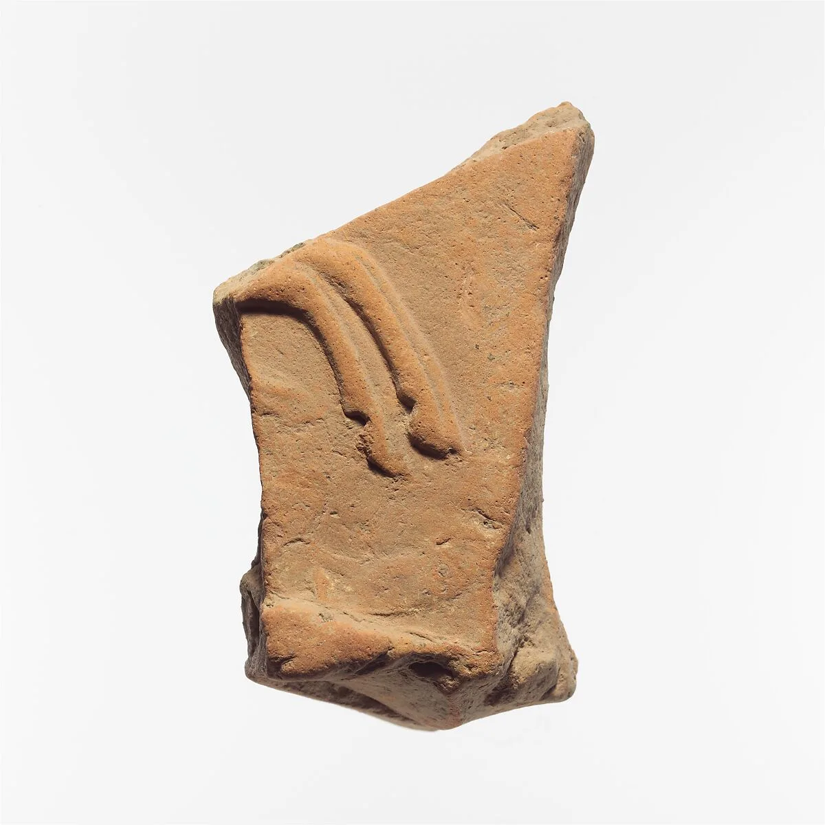 Fragment of a terracotta architectural tile — Unknown
