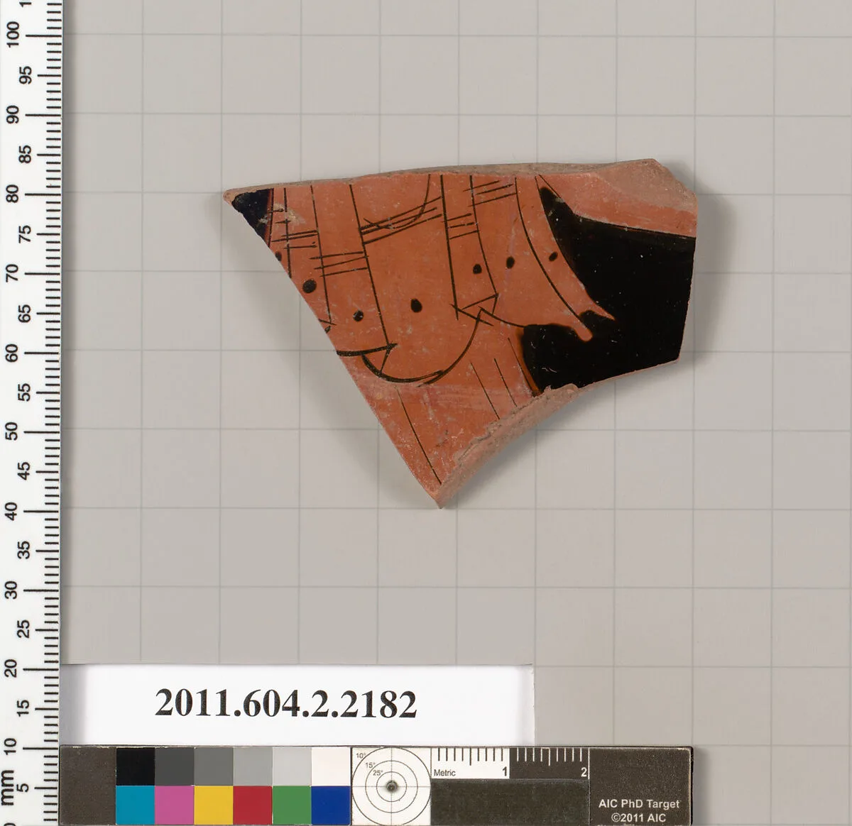 Terracotta fragment of a pot; unglazed on the inside — Florence Painter