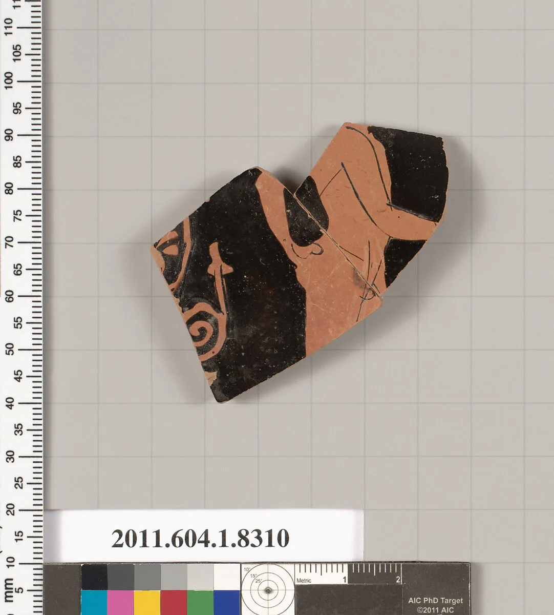 Terracotta fragment of a kylix (drinking cup) — Unknown