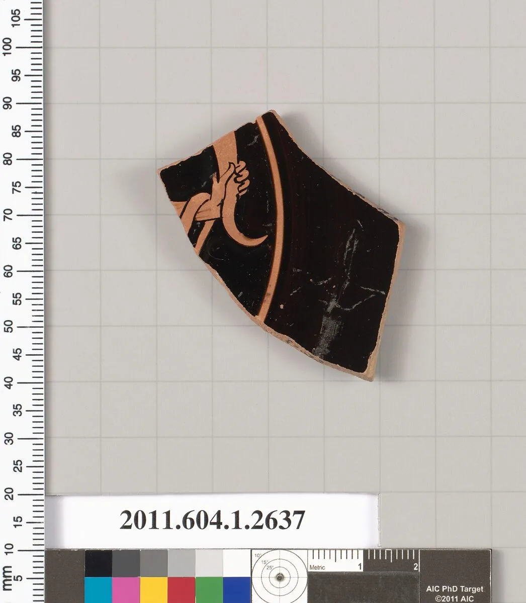 Terracotta fragment of a kylix (drinking cup) — Unknown