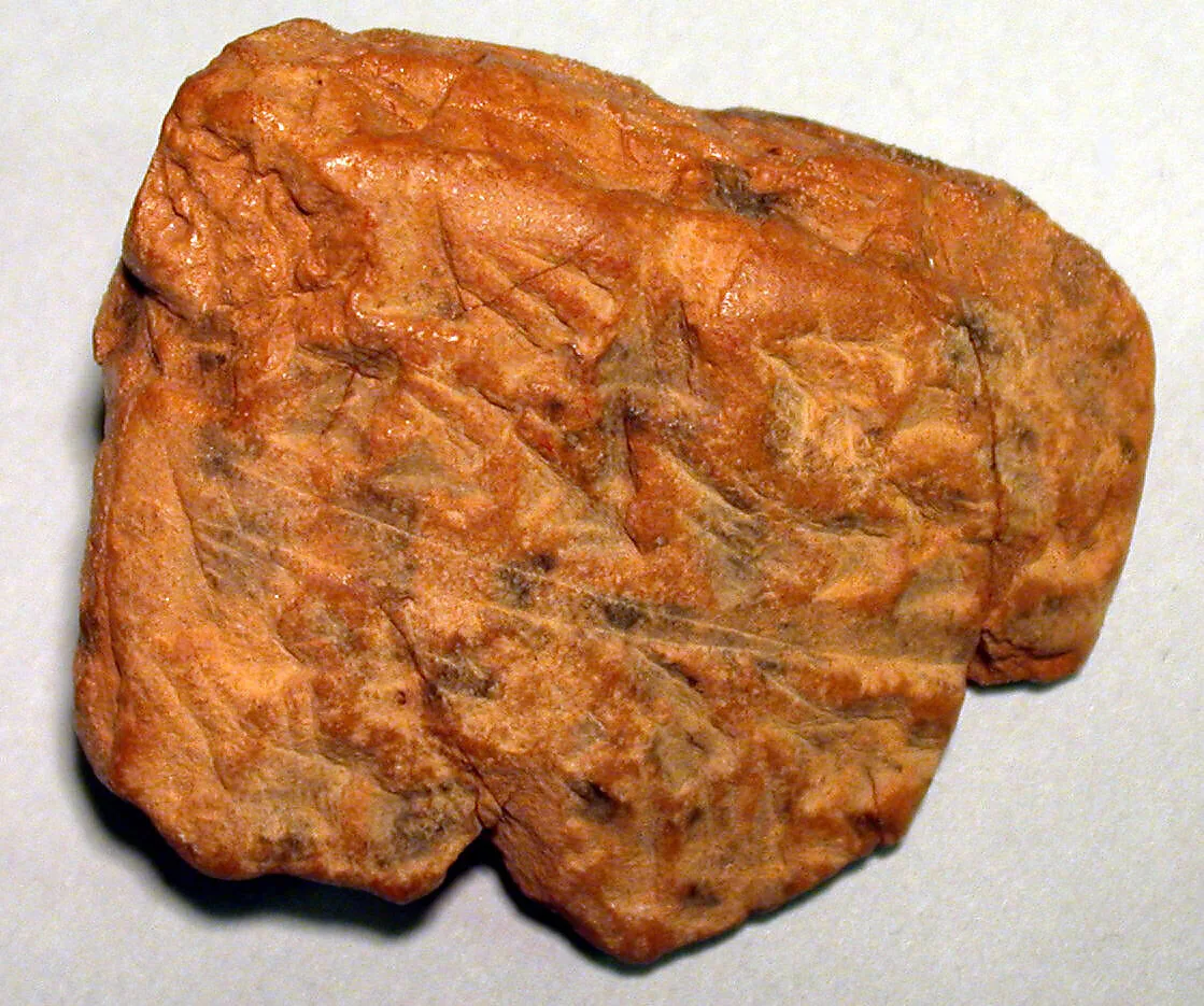 Cuneiform tablet: fragment, Ebabbar archive — Unknown