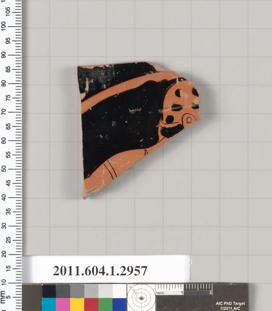 Terracotta fragment of a kylix (drinking cup) — Unknown