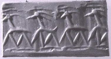 Cylinder seal — Unknown