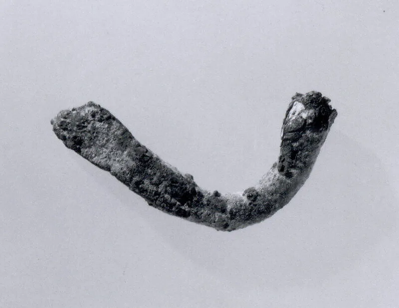 Fibula — Unknown