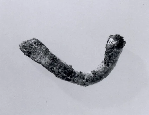 Fibula