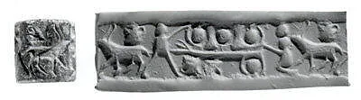 Cylinder seal — Unknown