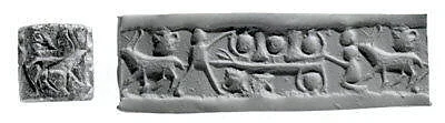 Cylinder seal