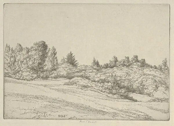 Small Point Field — Ernest Haskell