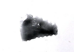 Arrowhead