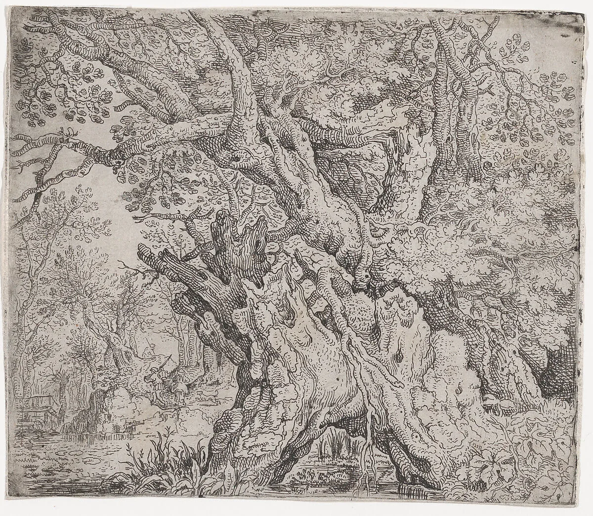 Gnarled Tree — Roelandt Savery