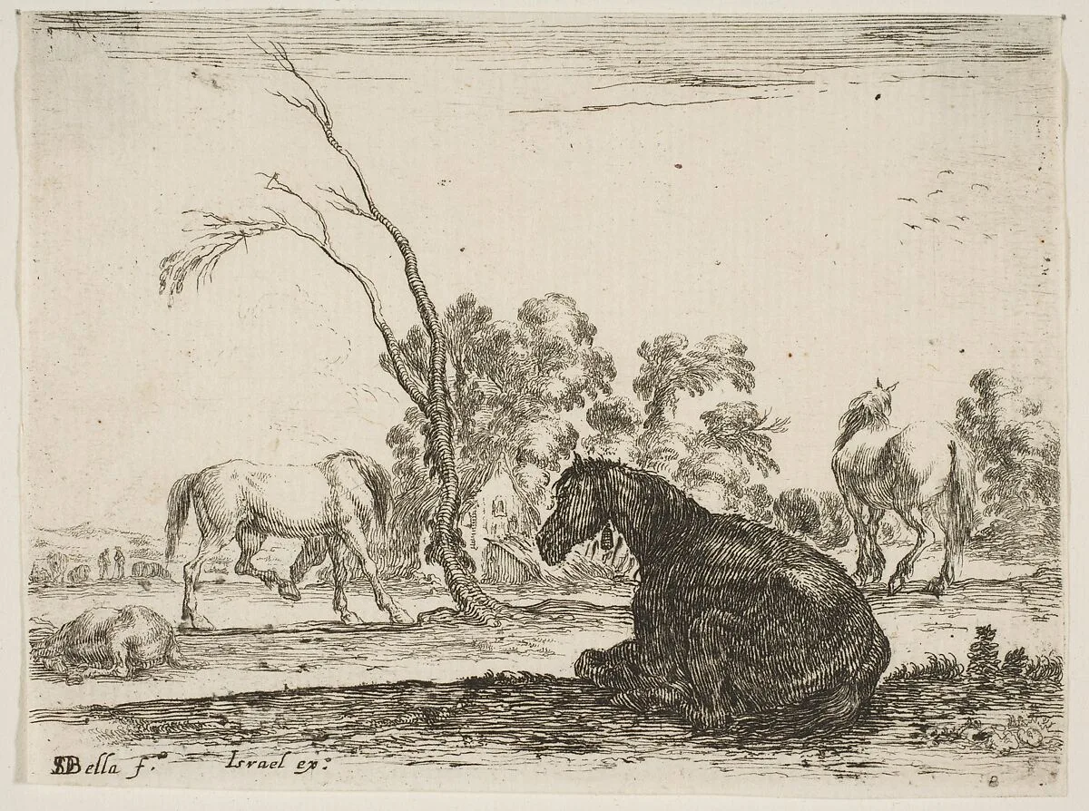 A seated horse to right, seen from behind and turned to the left, three other horses in middleground, a tree in center, plate 8 from "Various Figures" (Agréable diversité de figures) — Stefano della Bella|Israël Henriet|Artus Gouffier Marquis de Boissy
