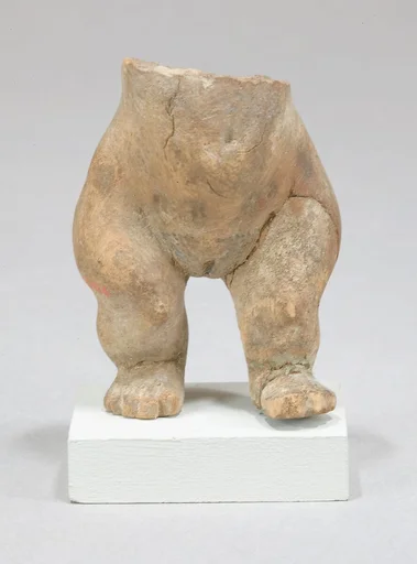 Female dwarf