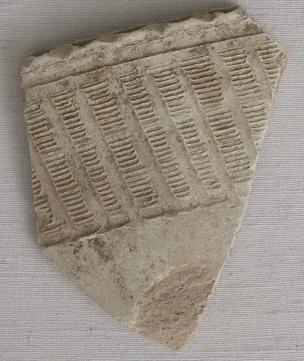 Fragment