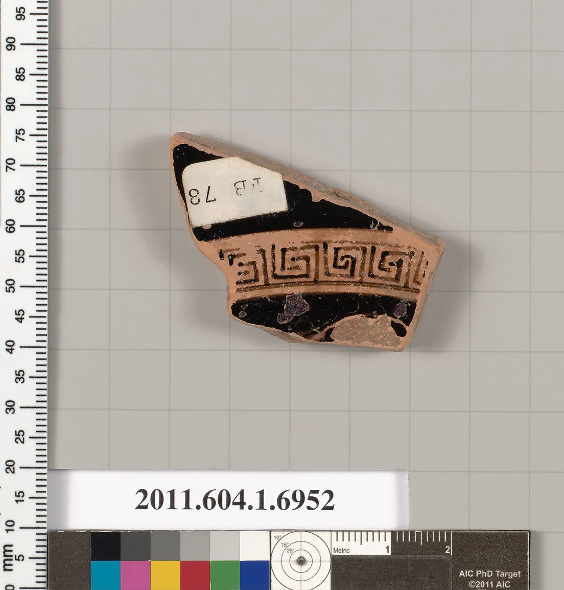 Terracotta fragment of a kylix (drinking cup) — Unknown