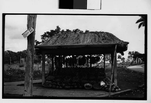 [Roadside Fruit Stand, Cuba]