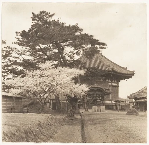 [Kofukuji Temple, Nara, Japan]