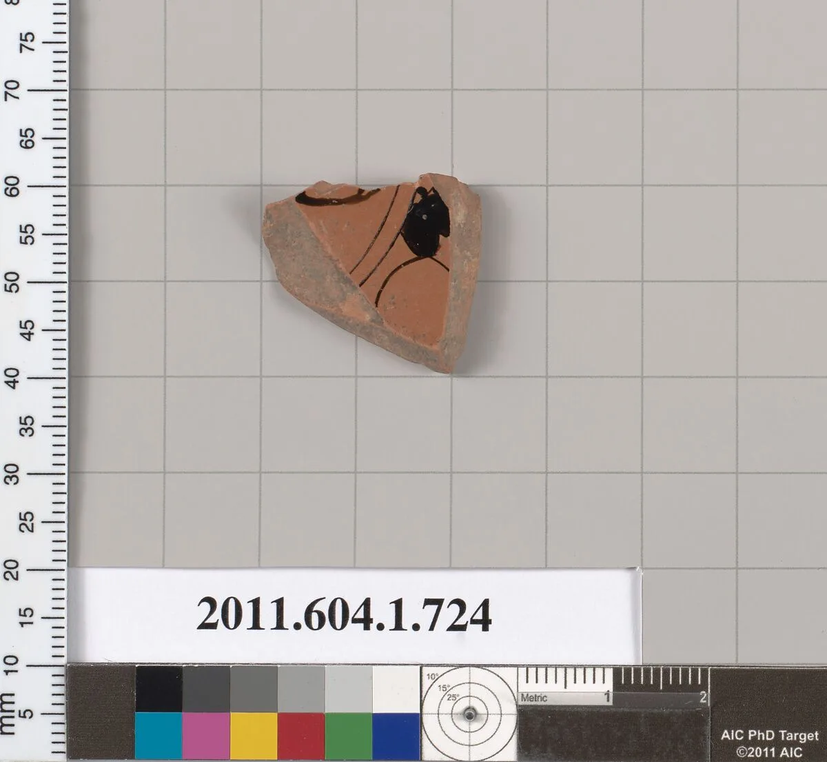 Terracotta fragment of a kylix (drinking cup) — Unknown