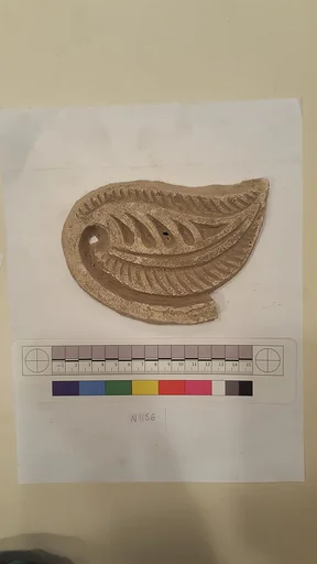 Stucco Fragment