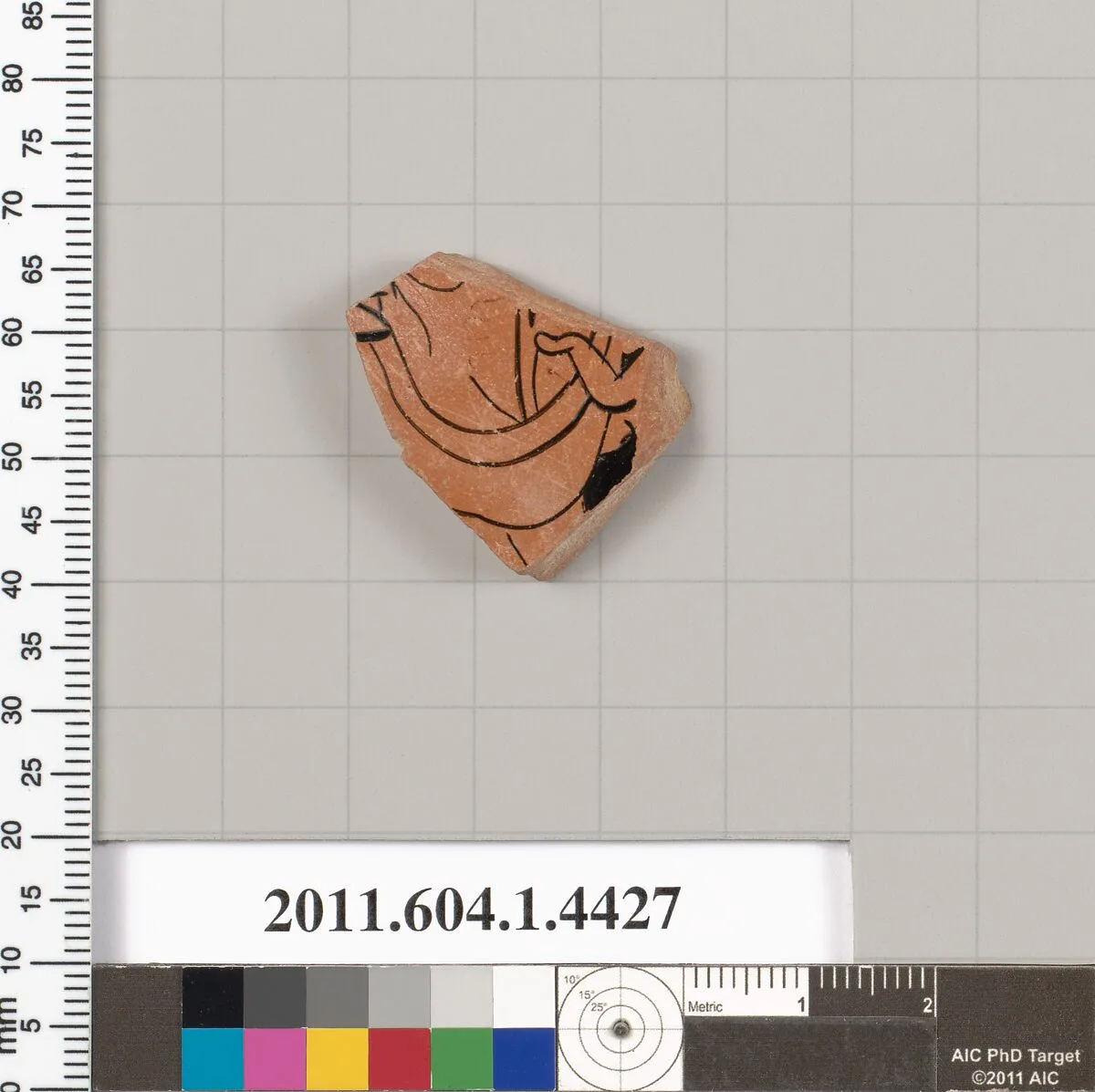 Terracotta fragment of a kylix (drinking cup) — Unknown