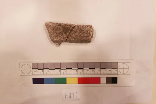 Stucco Fragment