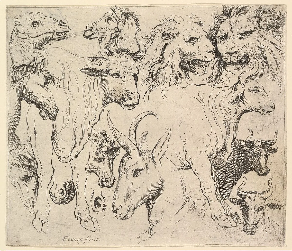 Studies of Heads — Battista Franco|Anonymous, Italian, Roman-Bolognese, 17th century