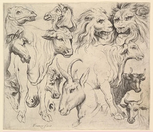 Studies of Heads