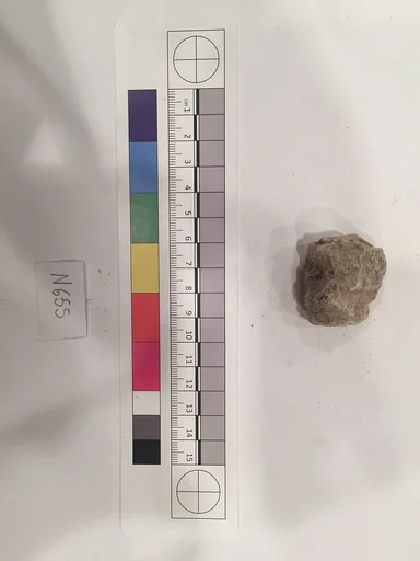 Stucco Fragment