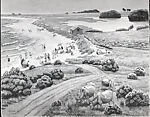 Beach at High Tide